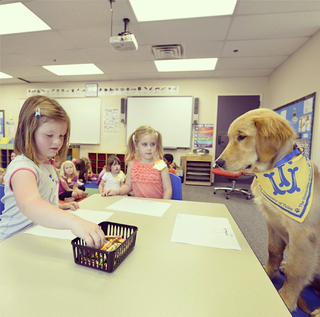Illustration for article titled Tulsa's Puppy Mascot Will Be The Best Part Of College Football Season